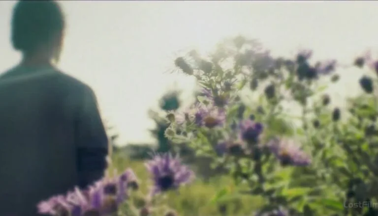 Момент из 1 серии 6 сезона